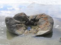 Albums/20060200-New Zealand 2006/20060315-Moeraki/16